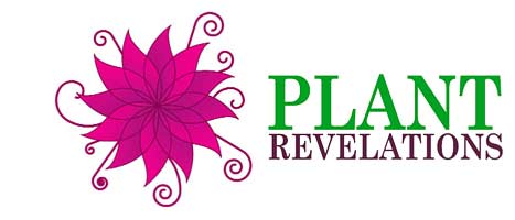 Plant Revelations
