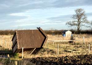 Allotments Sheds