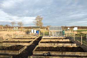 Allotments Sheds