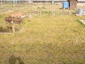 Allotment plots