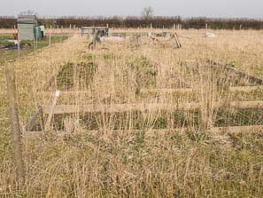 Allotment plots