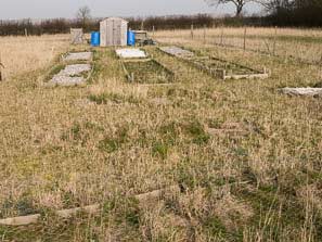 Allotment plots