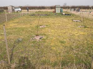 Allotment plots
