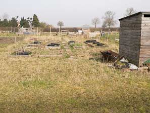 Allotment plots