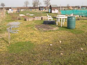 Allotment plots