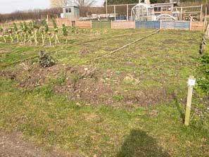 Allotment plots