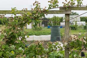 Allot site June 2015
