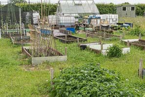 Allot site June 2015