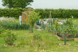 Allot site June 2015