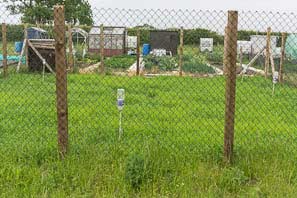 Allot site June 2015