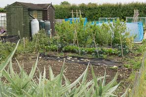 Allot site June 2015