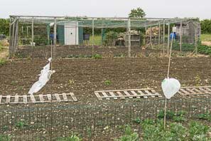 Allot site June 2015