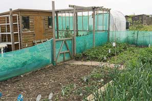 Allot site June 2015