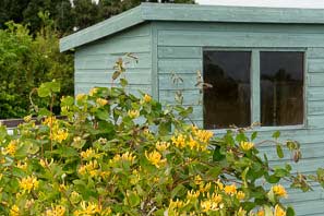 Allot site June 2015