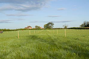 Allotment site on May Day