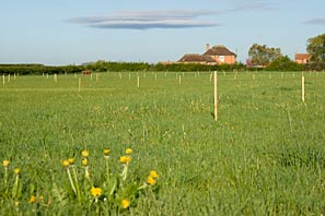 Allotment site on May Day
