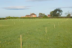 Allotment site on May Day