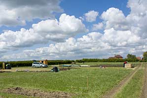 Allotment site on 11th May