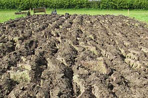 Allotment site on 16th May