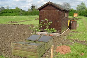 Allotment site on 16th May