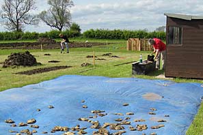 Allotment site on 16th May