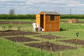 Allotment site on 16th May