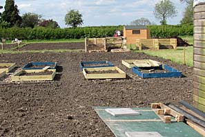 Allotment site on 16th May