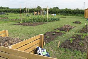 Allotment site on 30th June 2010