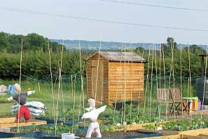 Allotment site on 30th June 2010