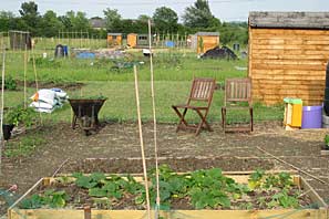 Allotment site on 30th June 2010