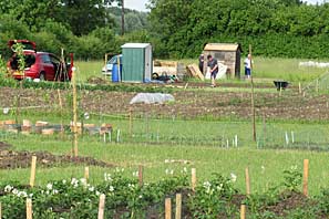 Allotment site on 30th June 2010
