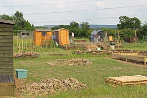 Allotment site on 30th June 2010