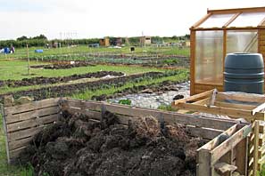 Allotment site on 30th June 2010