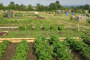 Allotment 15-8-10
