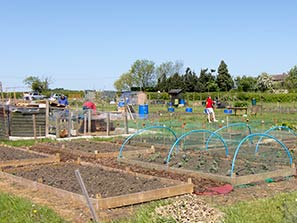 Allotment 2-5-11