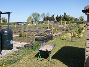 Allotment 2-5-11