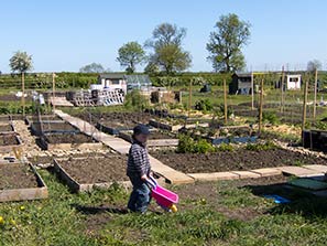 Allotment 2-5-11