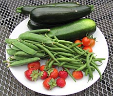First crop from allotment