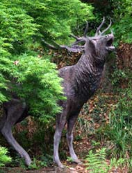Gardening Trip 2011-5-29