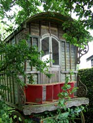 Gardening Trip 2011-5-29