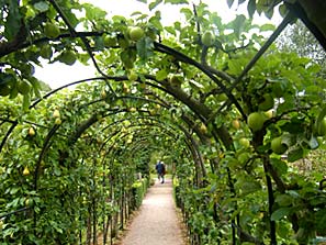 Barnsdale Trip 2011-8-18