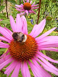 Barnsdale Trip 2011-8-18