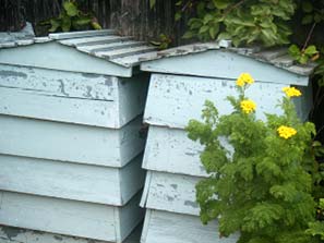 Barnsdale Trip 2011-8-18