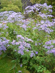 Barnsdale Trip 2011-8-18