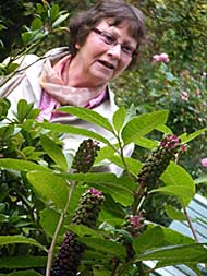 Barnsdale Trip 2011-8-18