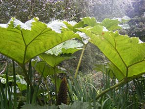 Barnsdale Trip 2011-8-18