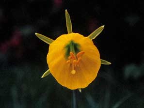 Garden Club 19th Sept 2011