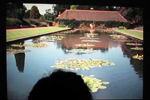 Gardening Club Mtg 15-11-10