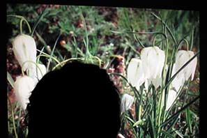 Gardening Club Mtg 15-11-10