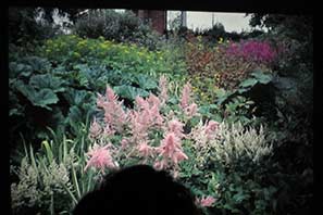 Gardening Club Mtg 15-11-10